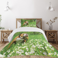 Blossom Daisies Bedspread Set