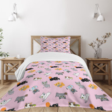 Colorful Baby Kittens Bedspread Set