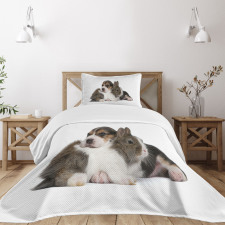 Rabbit Puppy Pet Friends Bedspread Set