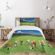 Mountains Grazing Cows Bedspread Set