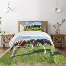 Cows Grazing on Pasture Bedspread Set