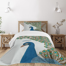 Exotic Feathers Frame Bedspread Set