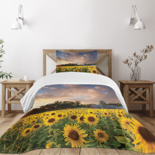 Sunflower Field Sky Bedspread Set