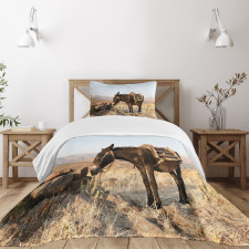 Greek Donkey in Mountains Bedspread Set