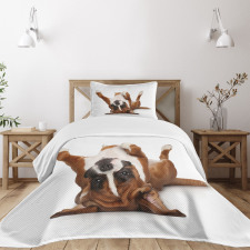 Funny Playful Puppy Image Bedspread Set