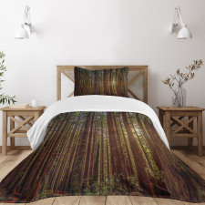 Redwood Forest Park USA Bedspread Set