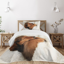 Puppy Sleeping in Its Bed Bedspread Set