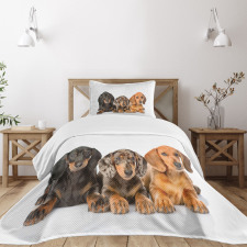 Different Color Dogs Lays Bedspread Set