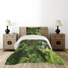 Rainforest Fall River Bedspread Set