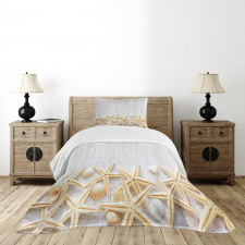 Sea Shells on Timber Bedspread Set