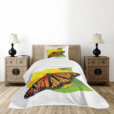 Moth Flower Bedspread Set
