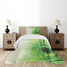 Spa Bamboos Trees Bedspread Set