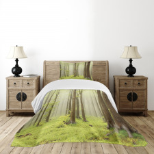 Misty Beech Forest Photo Bedspread Set