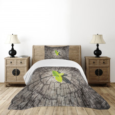 Dried Earth Planet Bedspread Set