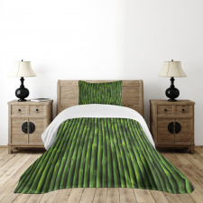 Tropical Bamboo Stems Bedspread Set