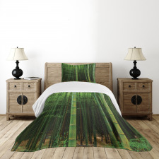 Exotic Bamboo Tree Forest Bedspread Set