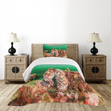 Octopus in Water Bedspread Set