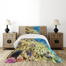 Sea Exotic Natural View Bedspread Set