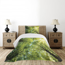 Romantic Beech Trees Bedspread Set