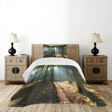 City Park Hazy Morning Bedspread Set