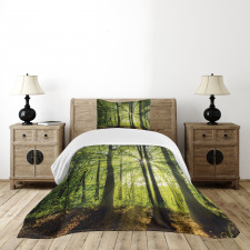 Sunny Forest Springtime Bedspread Set