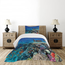 Tropical Turtle Water Bedspread Set