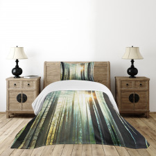 Fairy Foggy Forest Woods Bedspread Set