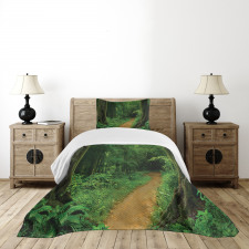 Nature Call Park Design Bedspread Set