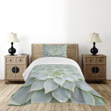 Cactus Flowers Photo Bedspread Set