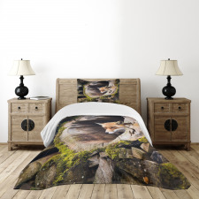 Nature Wild Fox Forest Bedspread Set