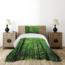 Woodland Tree Forest Sun Bedspread Set