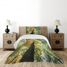 Forest Autumn Growth Eco Bedspread Set