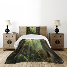 Sunbeam Moss Tree Bodies Bedspread Set