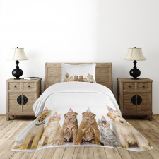Dogs Cats at a Party Bedspread Set