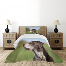 German Pointer Bedspread Set