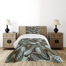 Butterflies Jungle Queen Bedspread Set