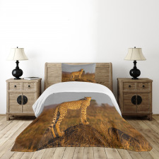 Wild Cheetah Bedspread Set