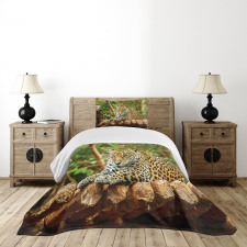 Jaguar on Wood Wild Feline Bedspread Set