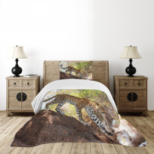 Leopard Tree Nature Reserve Bedspread Set