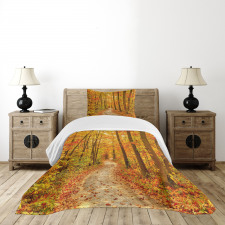 Pathway in the Wilderness Bedspread Set