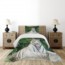 Albino Bengal Cat on Rock Bedspread Set