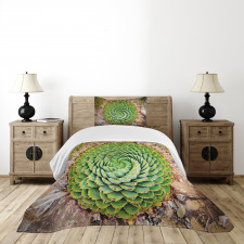 Aloe Polyphylla Vera Bedspread Set