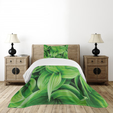 Tropic Foliage Pattern Bedspread Set