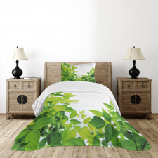 Birth of Nature Bedspread Set