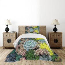 Miniature Plants Stones Bedspread Set