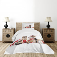 Dog Cat with Presents Bedspread Set