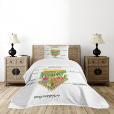 Leaf Names Theme Bedspread Set