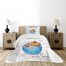 Microscopic Parts Bedspread Set