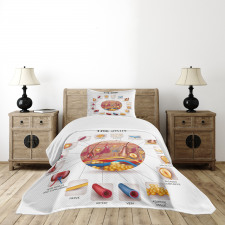 Skin Anatomy Veins Bedspread Set