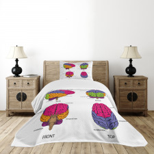 Human Brain Colors Bedspread Set